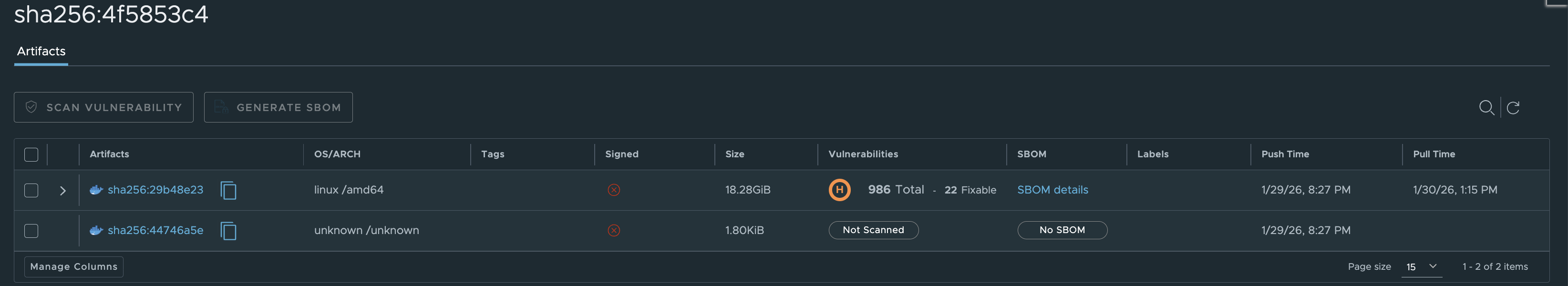 FoundSBOMOutputReport